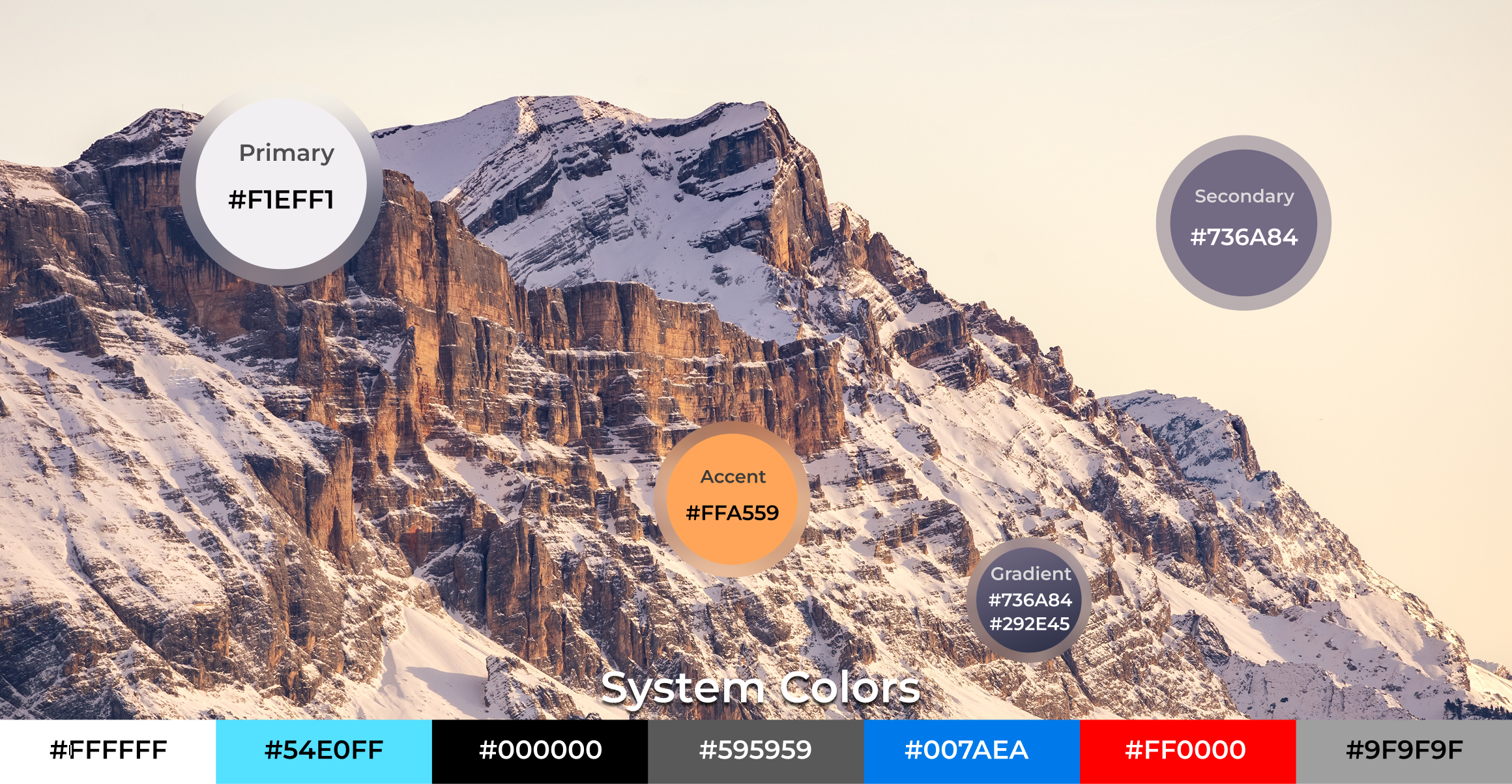 Instashop color system