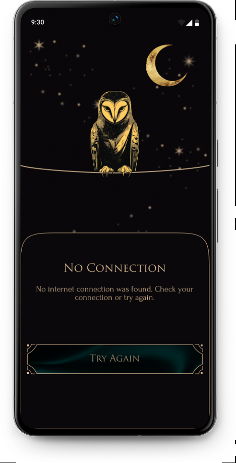 No connection error screen