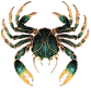 Cancer