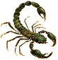 Scorpio