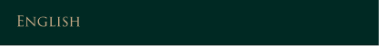 Language button
